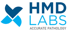 HMD Labs Logo